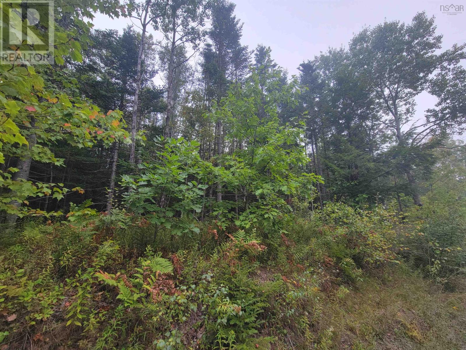 3 Wilson Rd, Upper Rawdon, NS B0N 2N0