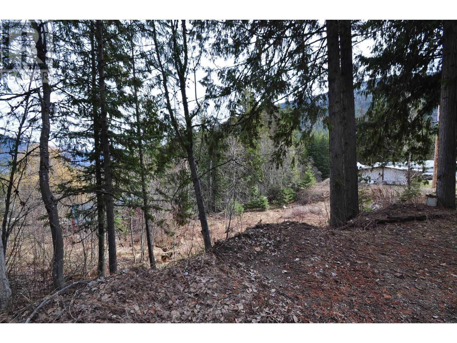2835 Silver King Rd, Nelson, BC V1L 7A5