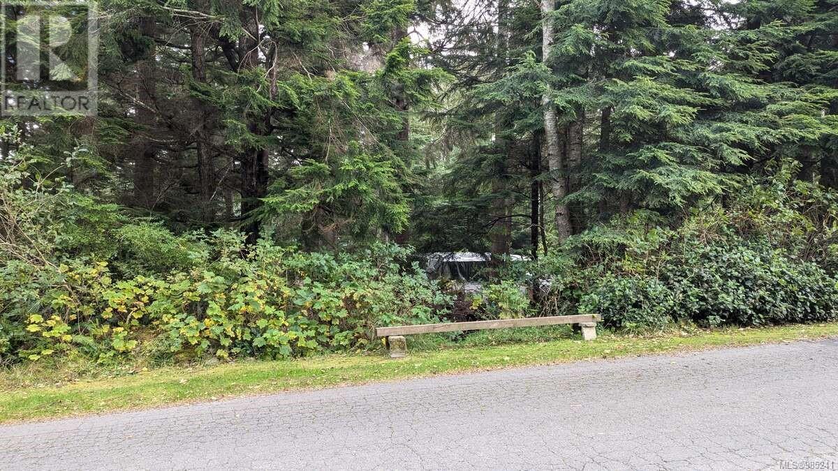 542 Larch St #e, Alert Bay, BC V0N 1A0