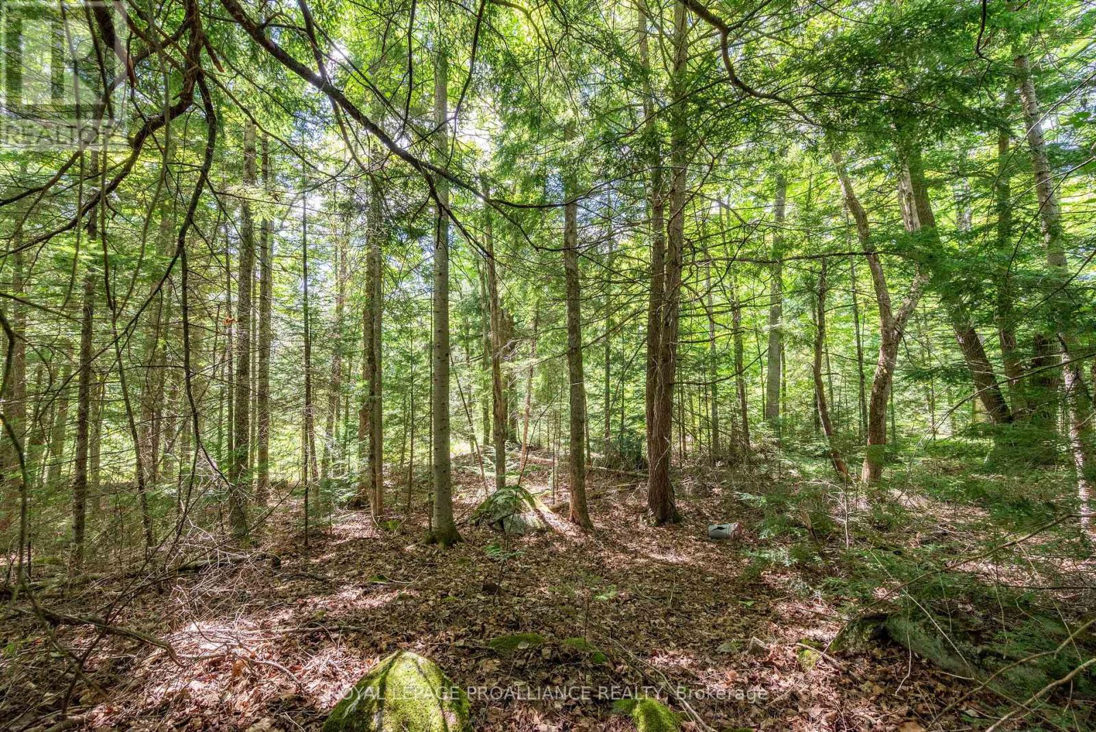 0 Buckshot Lake Rd, North Frontenac Frontenac North, ON K0H 2M0