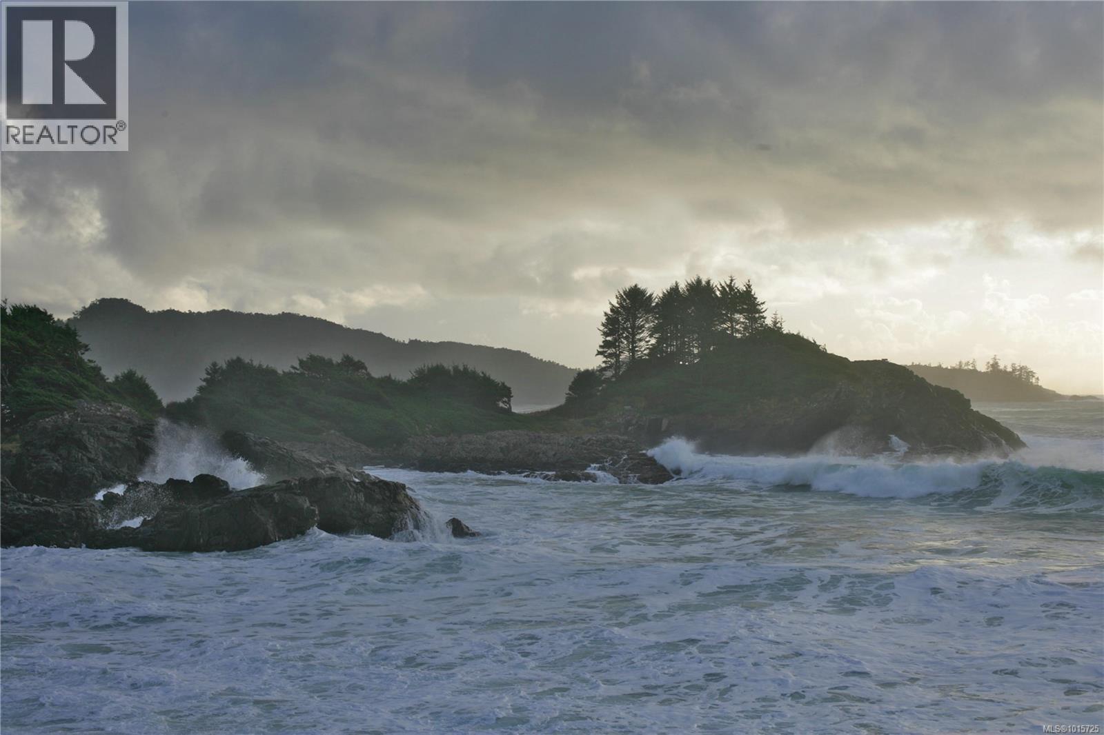 871 Moser Pl, Tofino, BC V0R 2Z0