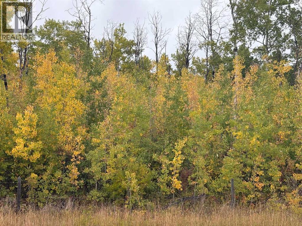 12 Foot Davis Rd, Rural Northern Sunrise County, AB T0H 2E0