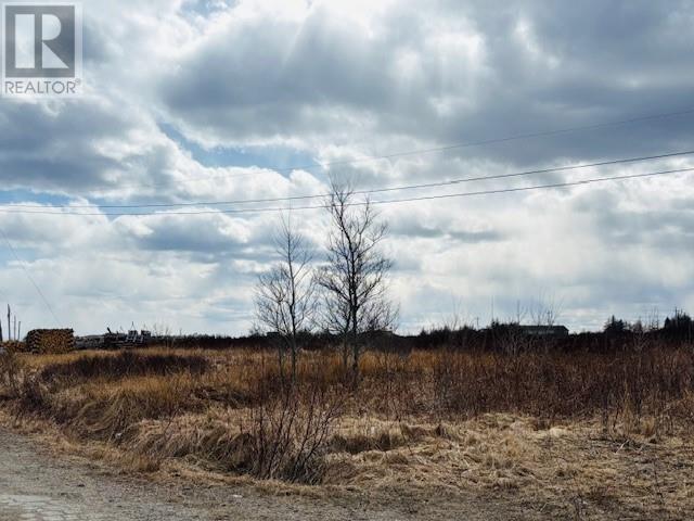 35 Water St, New Wes Valley, NL A0G 4R0