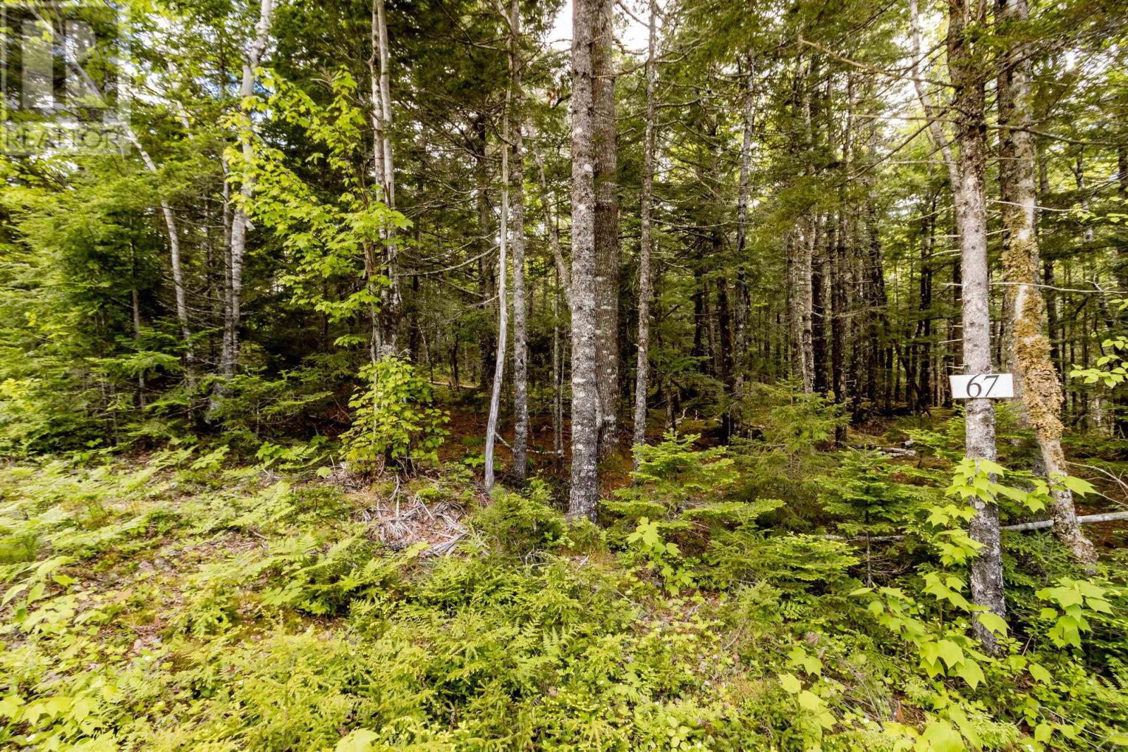 67 White Tail Pass, Windsor, NS B0N 2T0