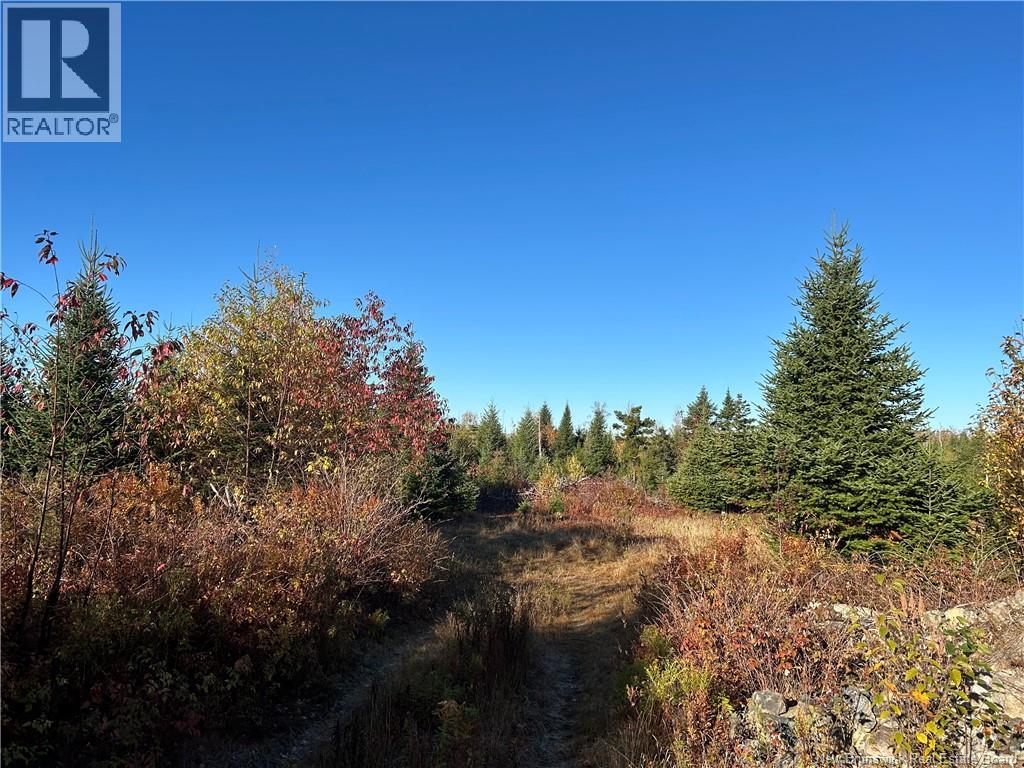 91 Midland Rd, Mechanic Settlement, NB E4E 4K4