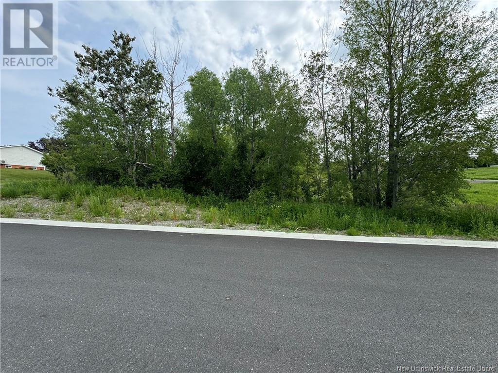Vangline Street, Grand-saultgrand Falls, NB E3Y 1B9