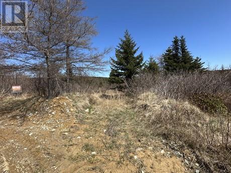 94 100 Rattles Rd, Victoria, NL A0A 4G0