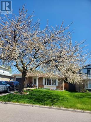 71 Grassington Cres, Brampton, ON L6S 1Z5