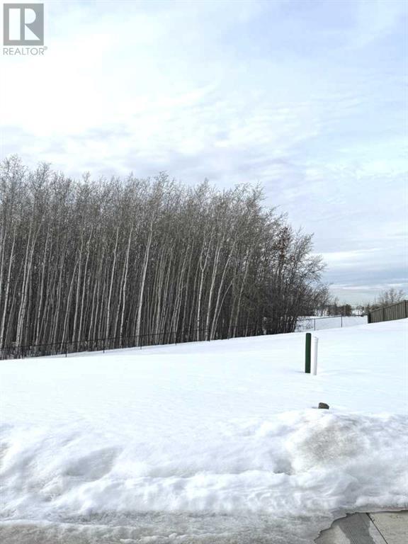 79 Avenue Unit 11917, Grande Prairie, AB T8W 0M7