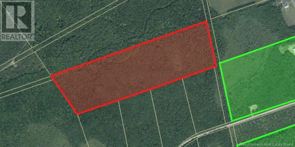Vacant Lot Rte 465 Beersville, Beersville, NB E4T 2N8