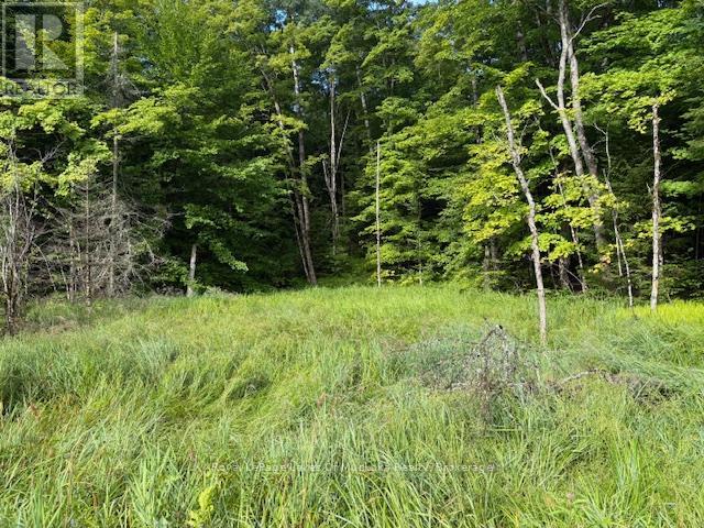 1788 Old Muskoka Rd, Huntsville, ON P0B 1M0
