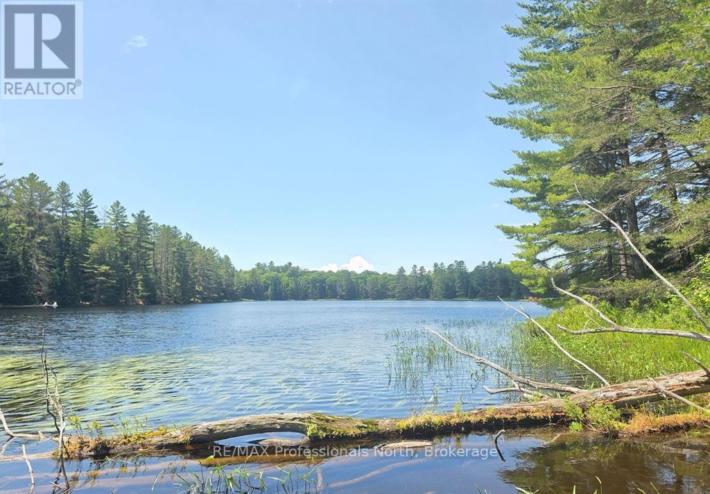 1134 Walkers Line Rd, Algonquin Highlands Stanhope, ON K0M 1S0