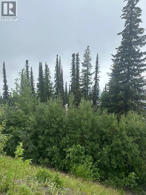 9890 Cathedral Dr, Vernon, BC V1B 3M1