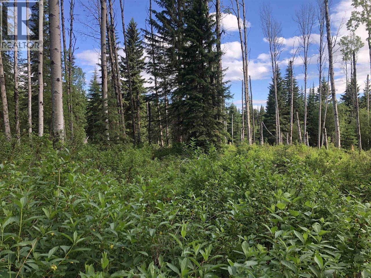 3078 Bradley Creek Rd 100 Mile Rd, 100 Mile House, BC V0K 1M0