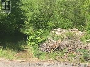 234 Flanagan Rd, Fredericton, NB E3C 2E8