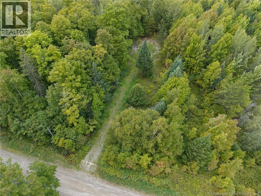 451 Upper Skiff Lake Rd, Dead Creek, NB E6H 1T1