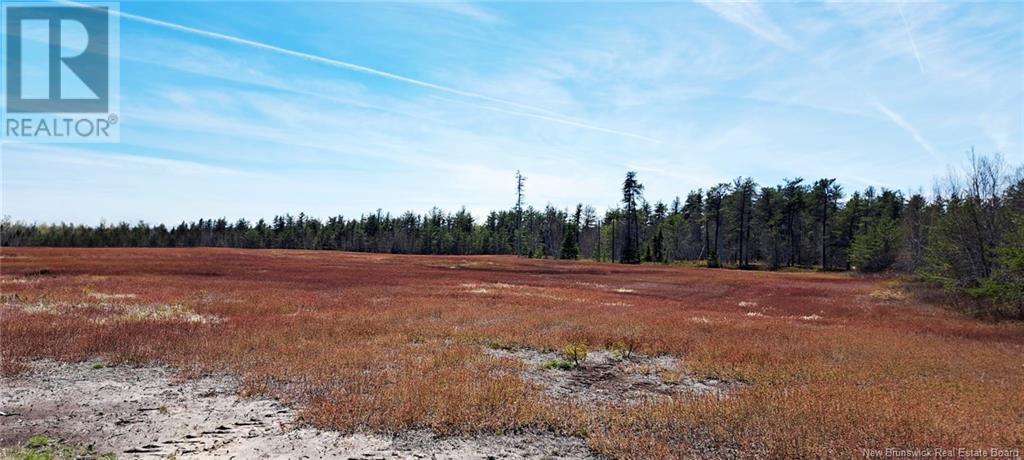 29 Acres Ch Adelard Rd, Pont-lafrance, NB E1X 1P1