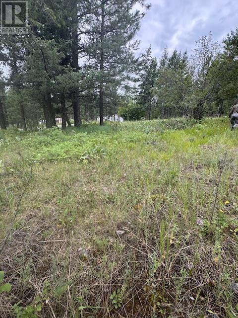 North Hirtz Street, Elko, BC V0B 1T3