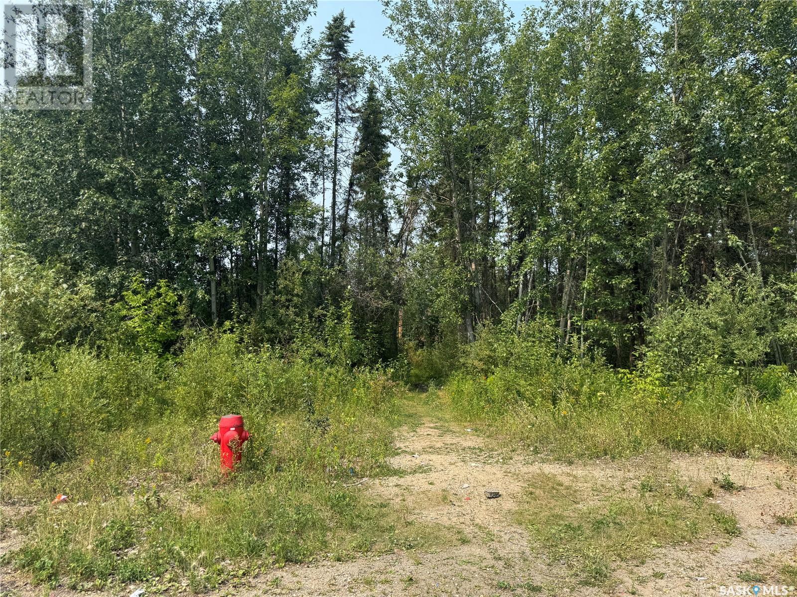 920 Mowery Pl, La Ronge, SK S0J 1L0