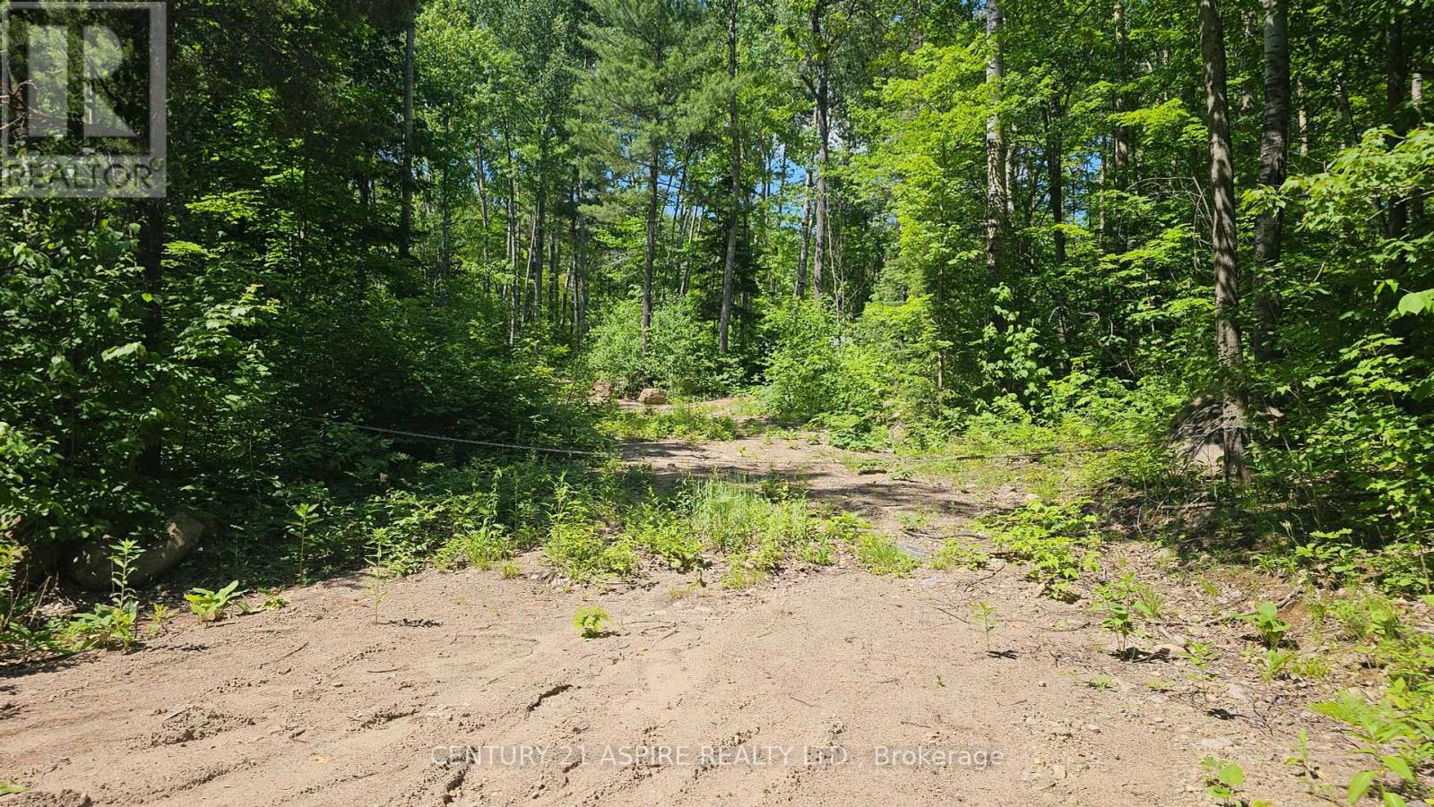 11072 Opeongo Rd, Madawaska Valley, ON K0J 1B0