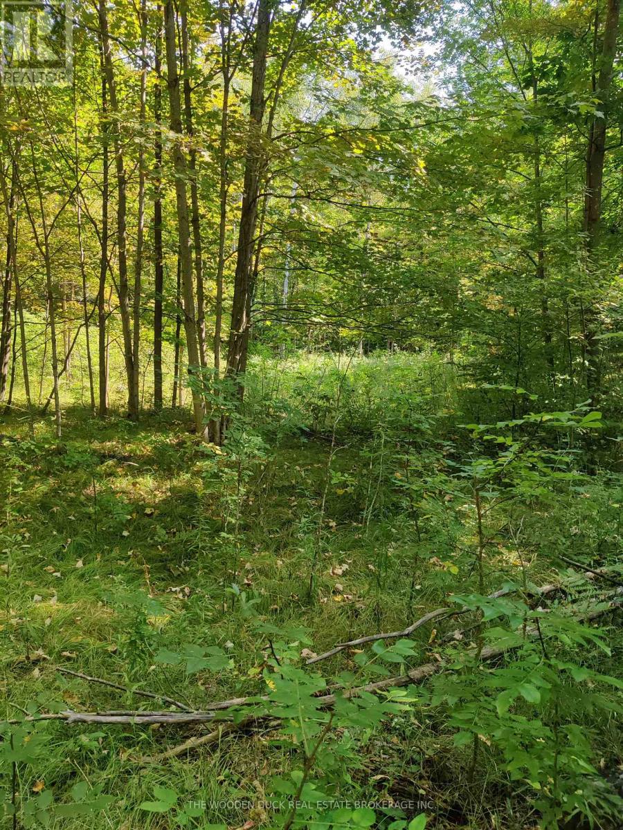 0east1 Road Allowance Road, Havelock-belmont-methuen Belmont-methuen, ON K0L 1Z0