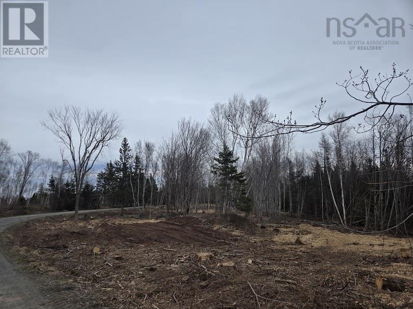 21 Birch Hill Ln, Pictou, NS B0K 1H0