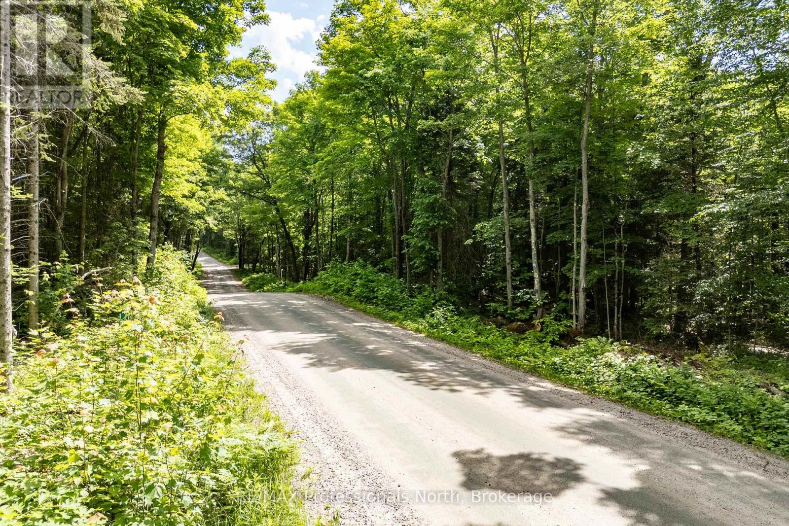 0 S Horn Lake Rd, Ryerson, ON P0A 1C0
