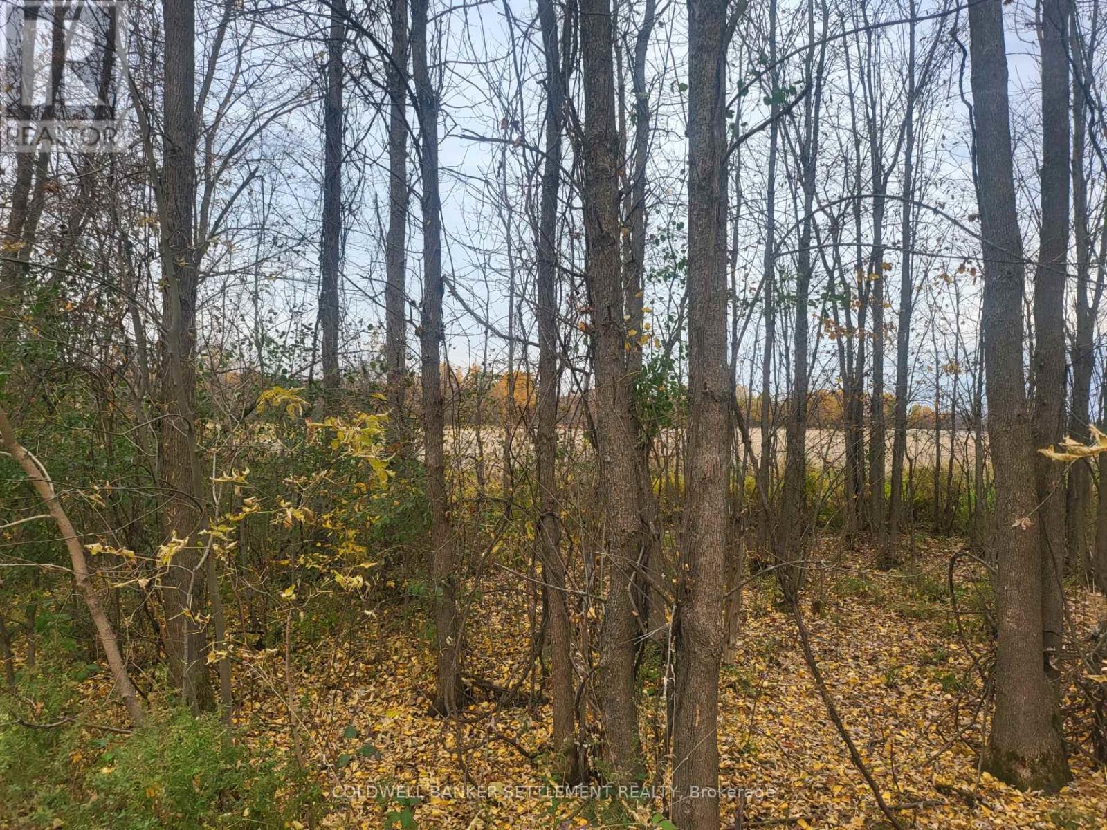 5 Bush Road, Rideau Lakes, ON K0G 1E0