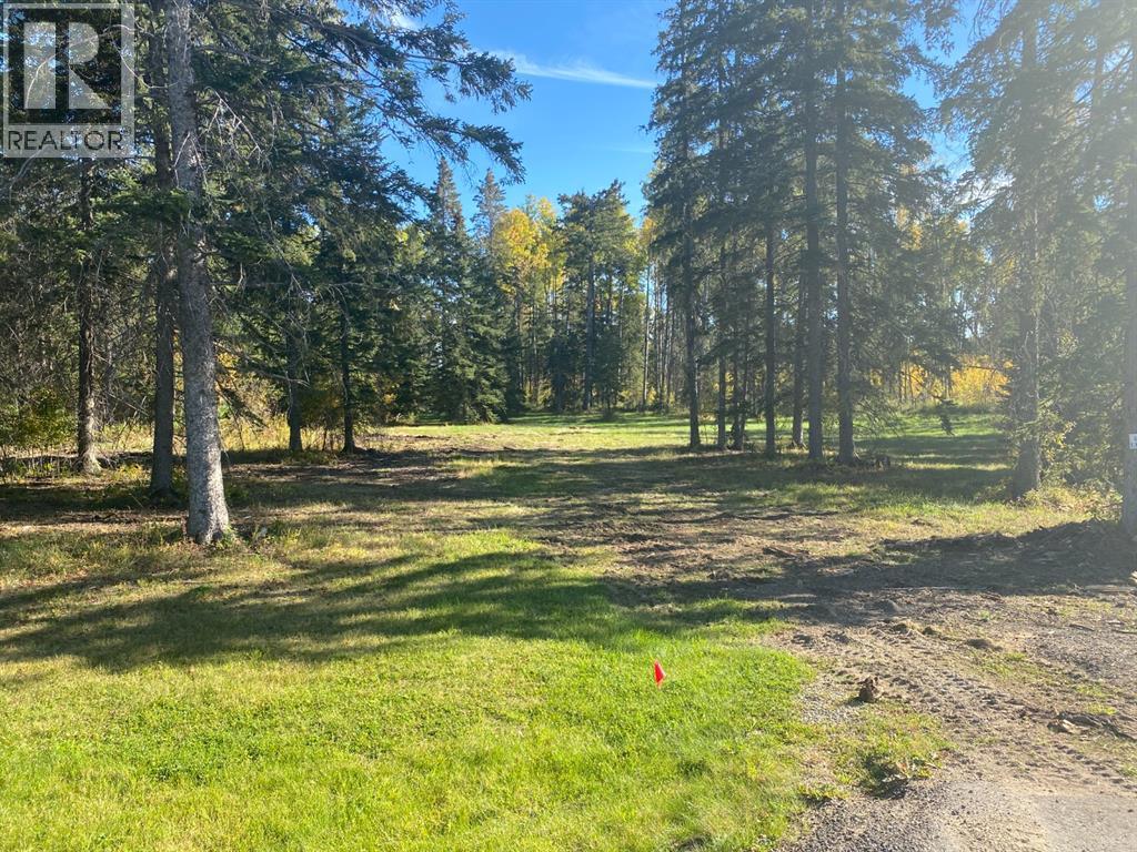 202 High Timber Pl, Rural Clearwater County, AB T4T 1A7