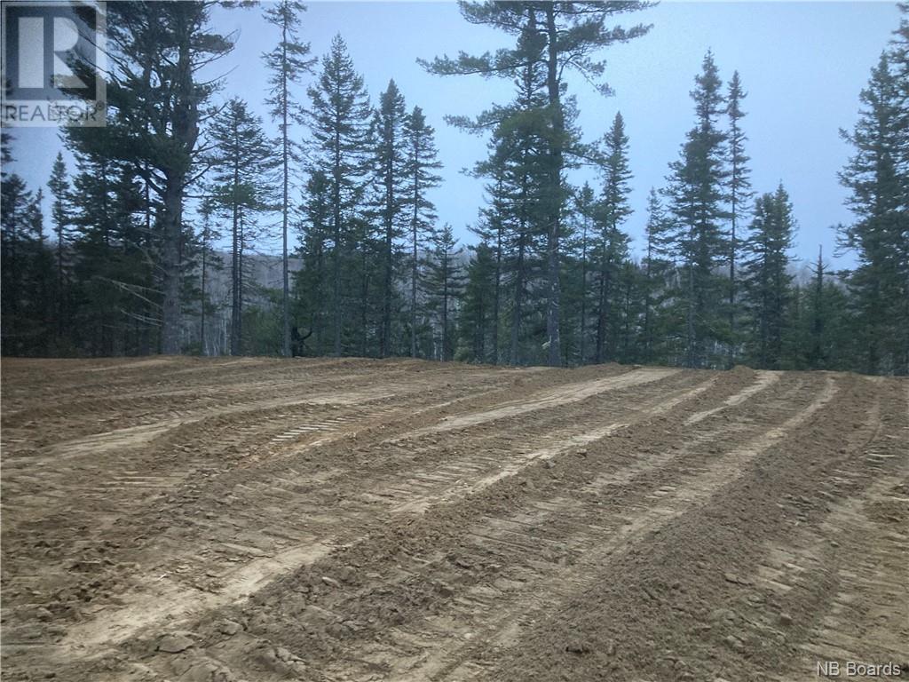 Lot 2016-9 Portage Road, Nepisiguit Falls, NB E2A 4Y7