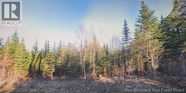0 Haggertys Cove Rd, New River Beach, NB E5J 1J5