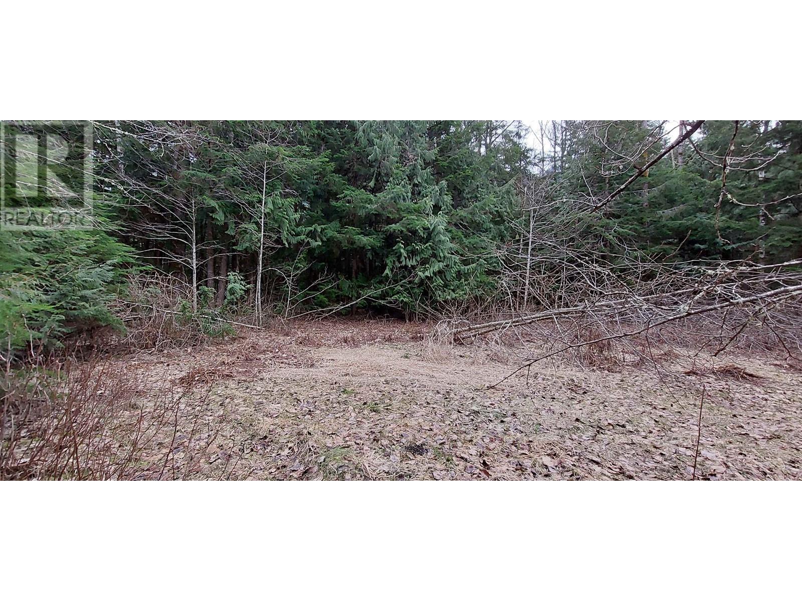 18 Mackenzie Street #20 Hwy, Bella Coola, BC V0T 1H0