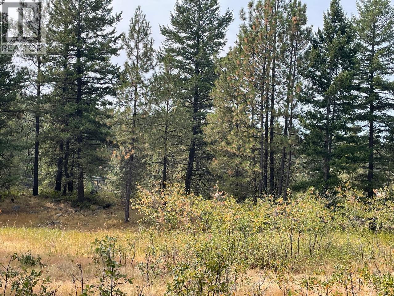 100 Cougar Ct, Osoyoos, BC V0H 1V6
