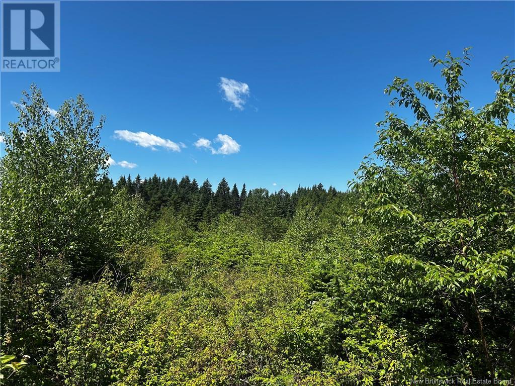 Old Gardener Creek Road, Rowley, NB E2S 0E9