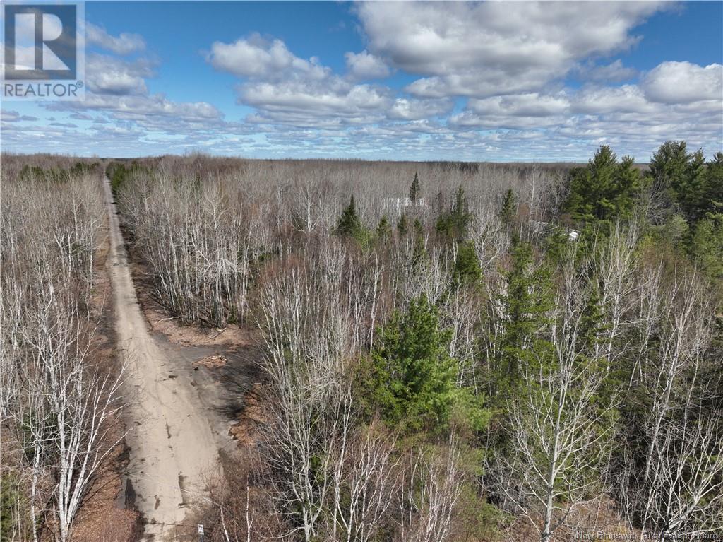 Lot Mckinnon Road, Miramichi, NB E1V 5Y1