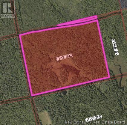Lot Lower Tower Hill Road, Saint David Ridge, NB E3L 4S8
