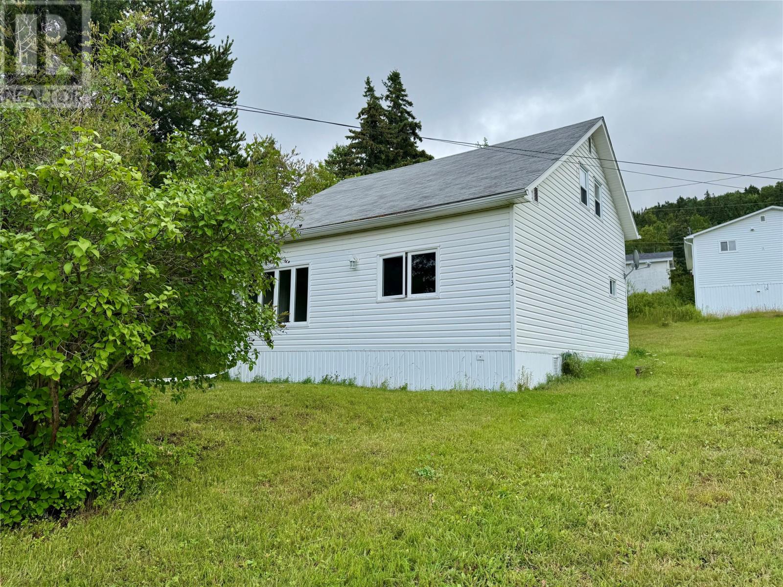 313 Citizens Dr, Norris Arm, NL A0G 3M0