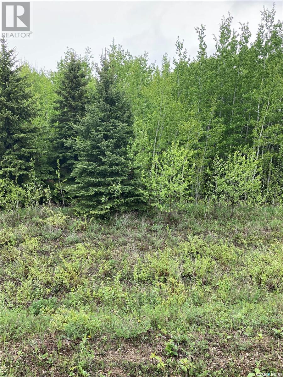 Ball Farm, Clayton Rm No. 333, SK S0A 4A0