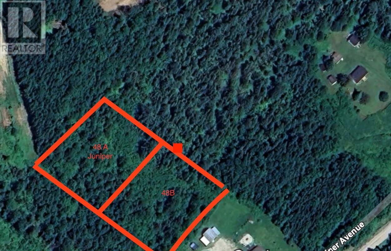 48 Juniper Ave #a, Cormack, NL A8A 2M7