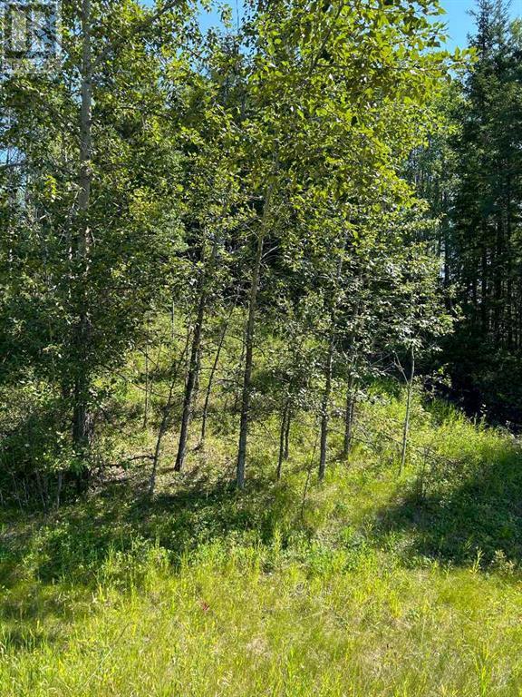 Lot R3 Westridge Road, Rural Woodlands County, AB T7S 1P8