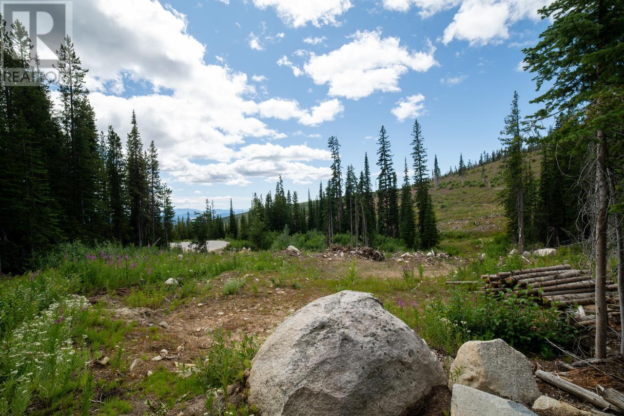 369 Buck Rd, Mount Baldy, BC V0H 1B0