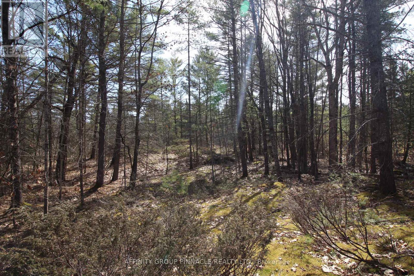 15 Concession St #9, Trent Lakes, ON K0L 1J0