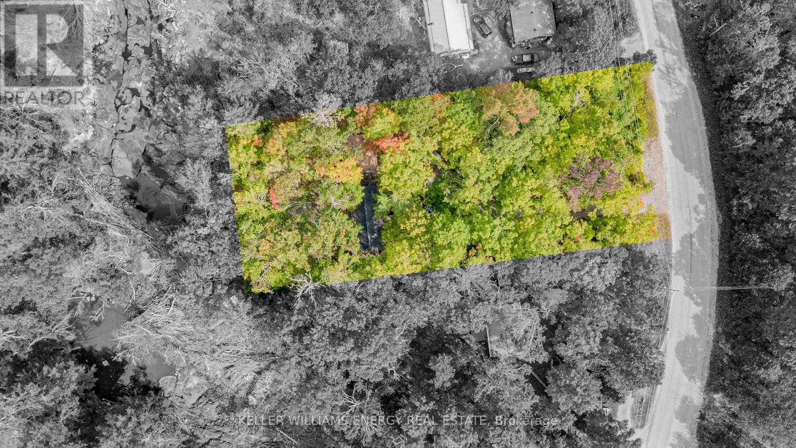 260 Edwina Dr, Trent Lakes, ON K0M 1A0
