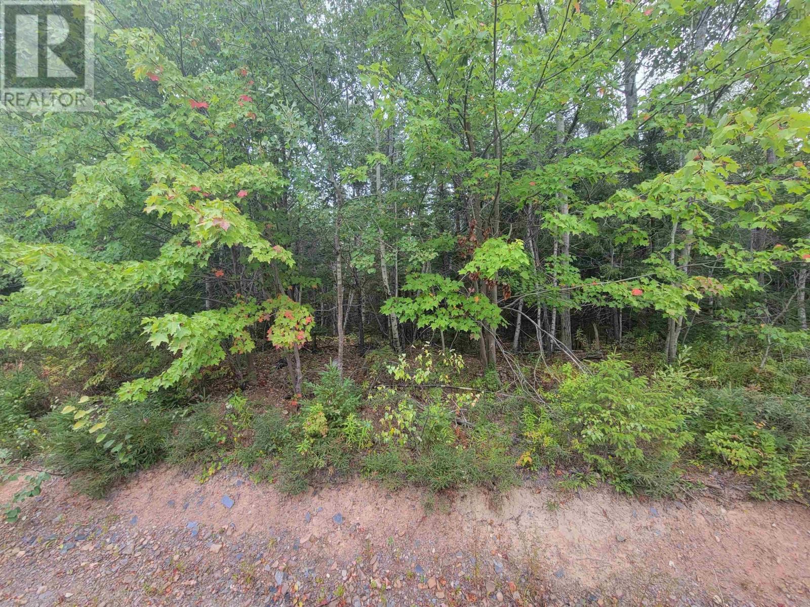 4 Wilson Rd, Upper Rawdon, NS B0N 2N0