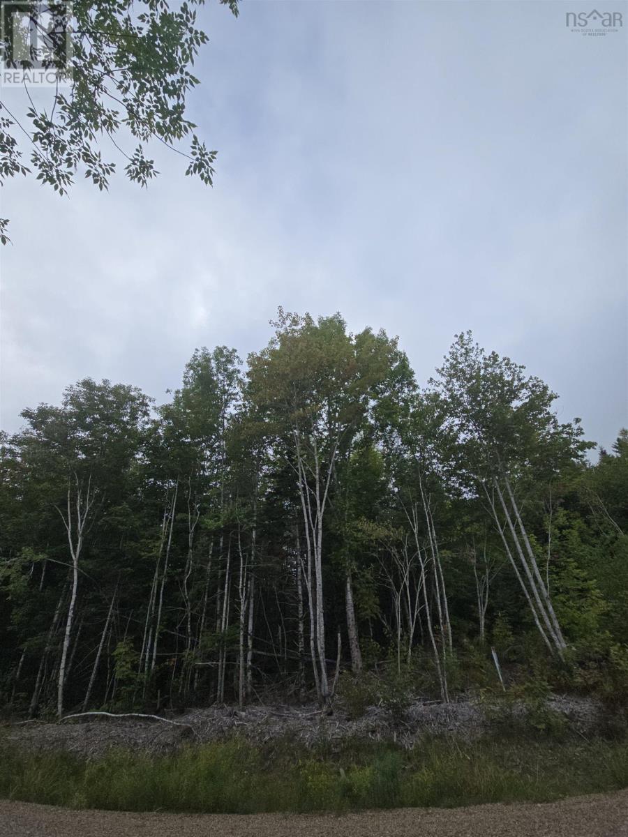 5 Lot 5 Lochiel Lk, Lochiel Lake, NS B2G 2L3