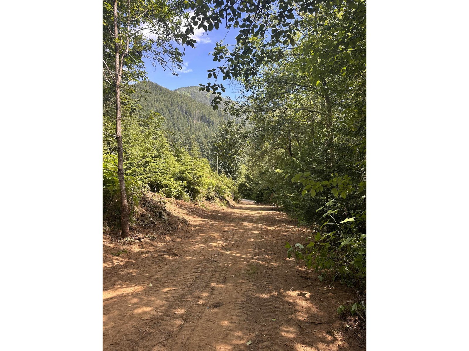 49780 Lookout Roadryder Lk, Chilliwack, BC V4Z 1A5