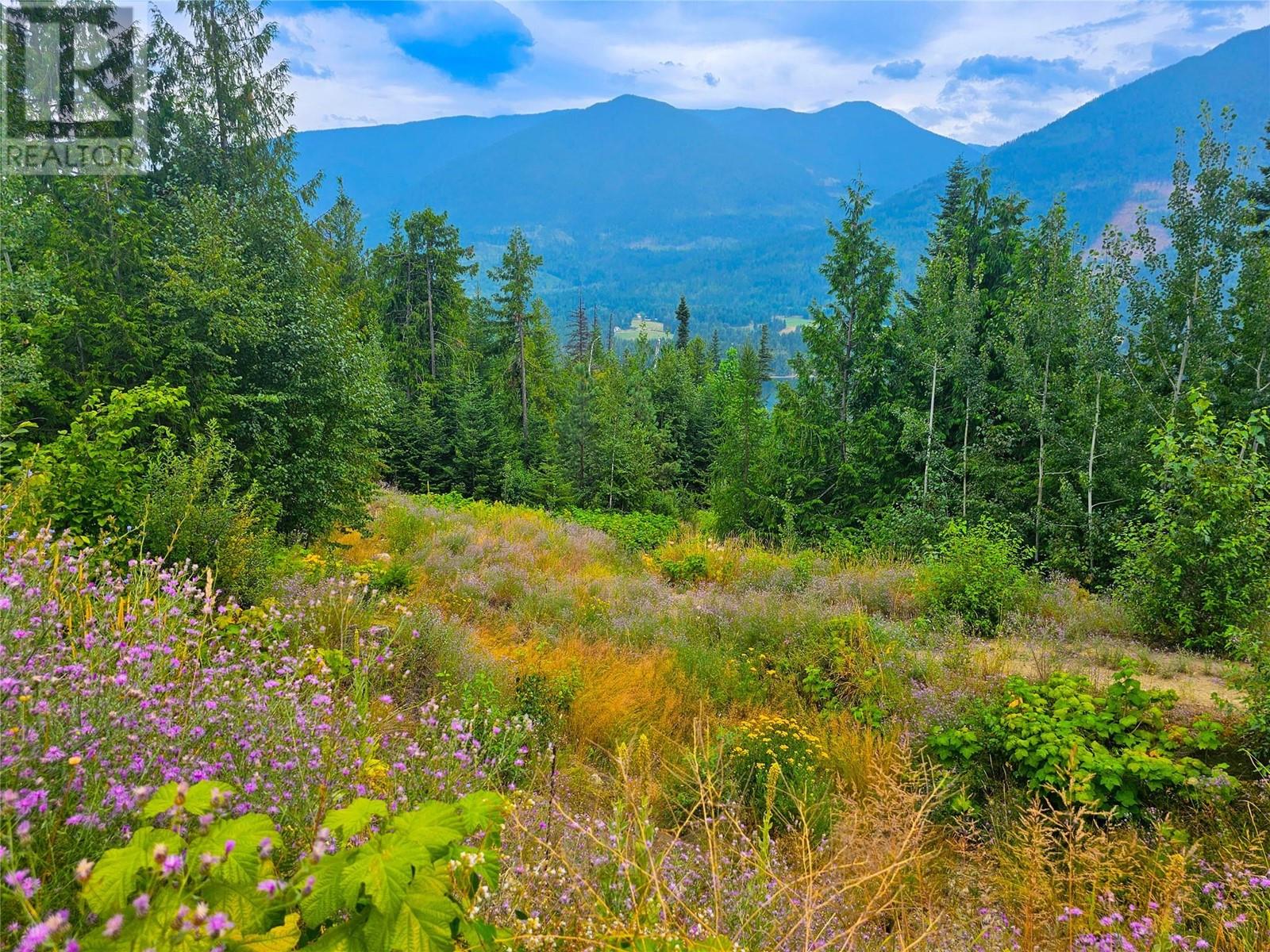 421 Mountain View Dr, Nelson, BC V1L 6W6