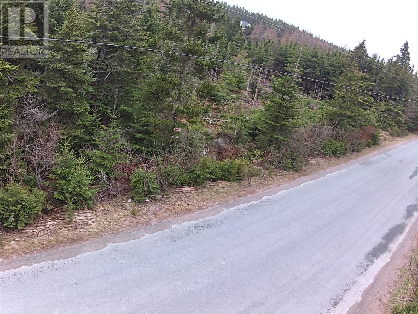 56 Ridge Rd, Holyrood, NL A0A 2R0