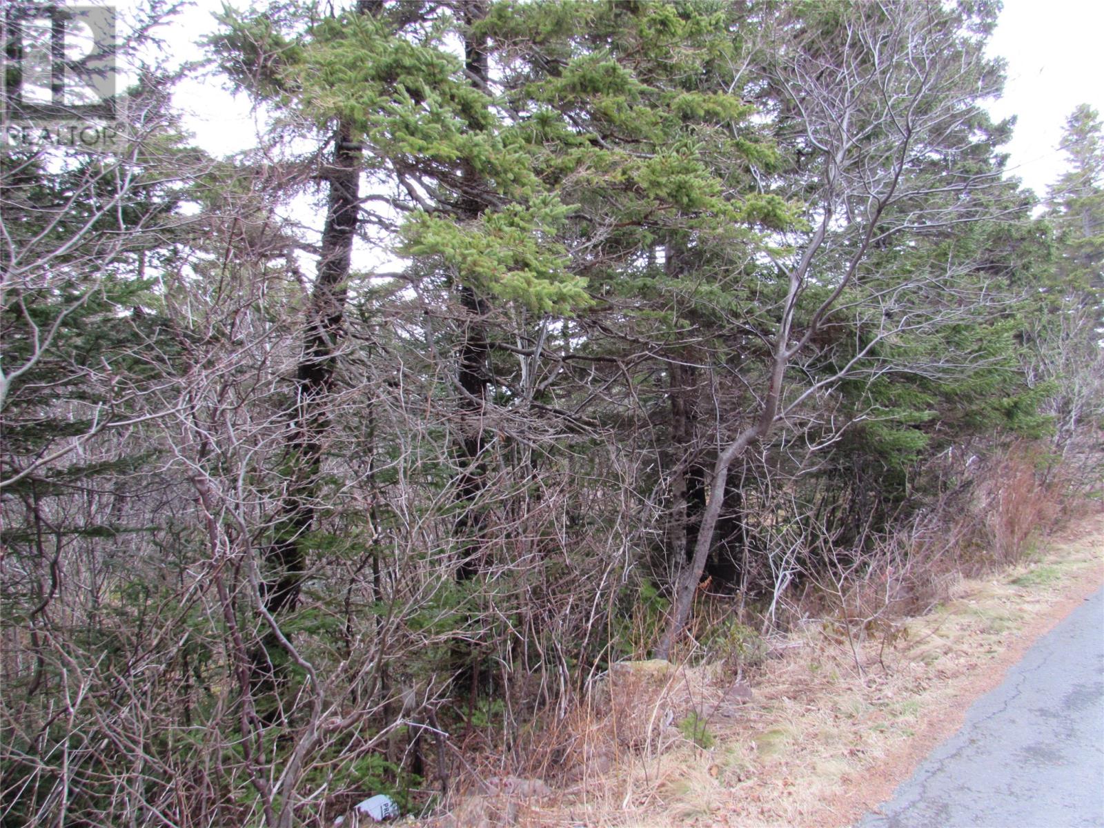 19-23 Bally Hack Rd, Avondale, NL A0A 1B0