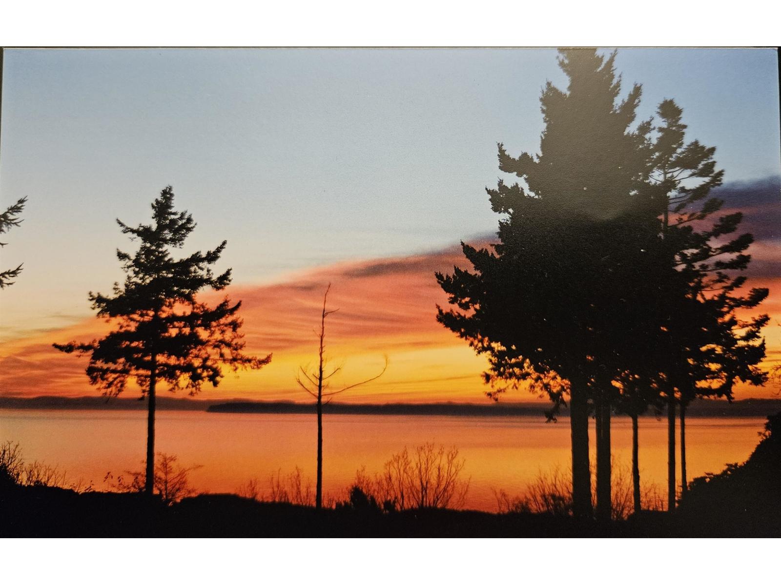 16 Avenue Unit 12581, Surrey, BC V4A 1M7